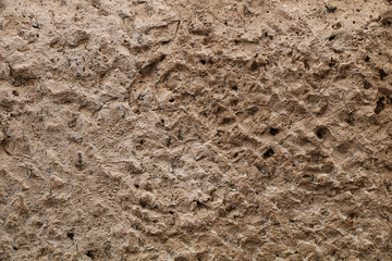 background from the usual wall