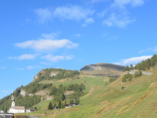 Fototapeta na wymiar Traditional Swiss mountain landscape. Green area fall season with wood