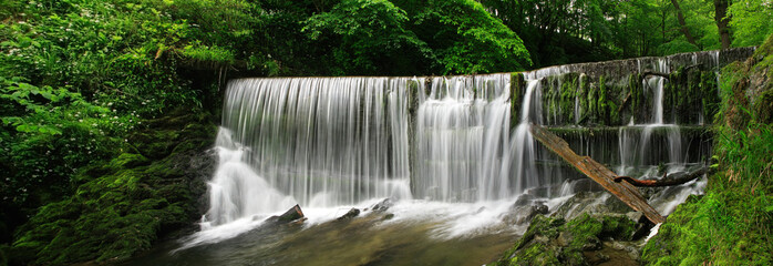 Panorama Waterfall in Green Forest