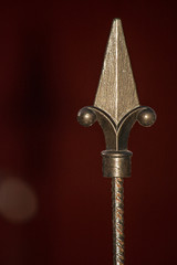 A spear in a garden.