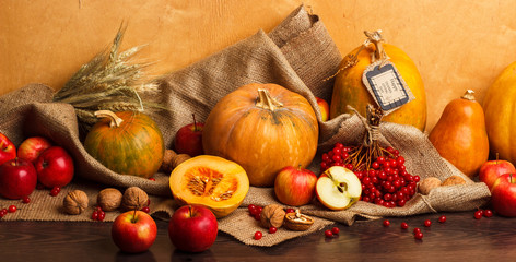 Thanksgiving day: Pumpkins with different decorations