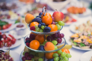 Beautifully decorated catering banquet table with different food snacks and appetizers on corporate christmas birthday party event or wedding celebration
