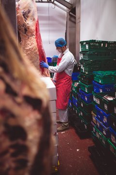 Butcher examining the red meat hanging in storage room