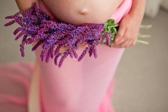 Stomach  of the pregnant woman in a frame of lilac flowers of a sage. Sage is in hands of the pregnant woman