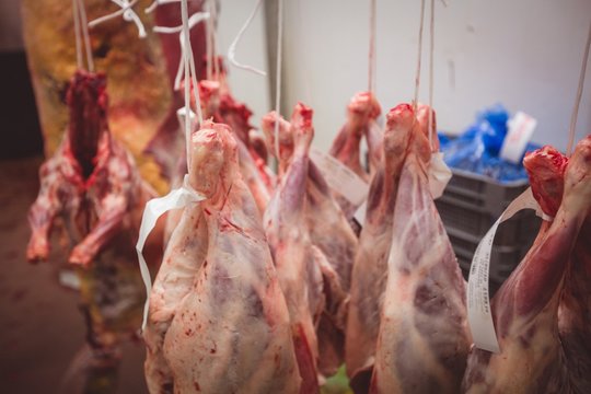 Peeled red meat hanging in the storage room
