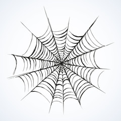 Web. Vector drawing