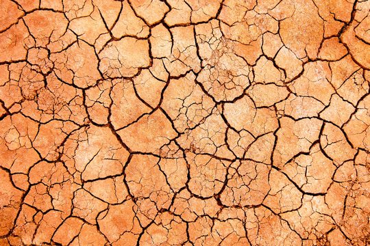 Ausgetrockneter Boden mit Salzkruste