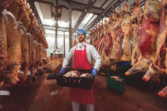 Butcher carrying crate of red meat in storage room