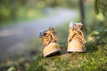 baby boot forest