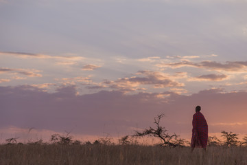 Maasai man walking on the savannah at sunset in Kenya