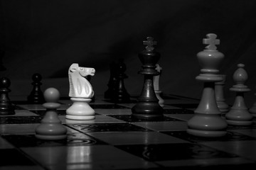 Scacchi fotografati su una scacchiera