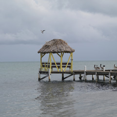 Placencia, Pier