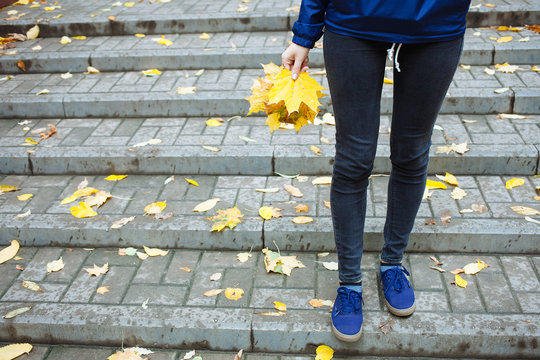 Part of body people cold rainy autumn concept. Sporty legs blue jeans and sneakers. Woman in blue wind braker holding leaves in hand.