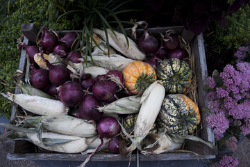 pumpkin and vegetable decoration