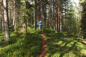 Passeggiata nella foresta2