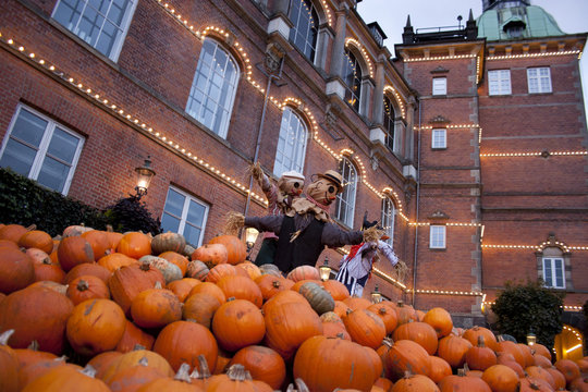 Scarecrow On Top Of Pumpkins