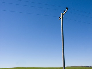 Fototapeta na wymiar Telephone pole against blue sky