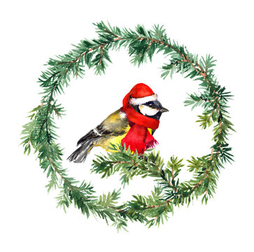 New year wreath - fir and tit bird in santa hat. Watercolor 
