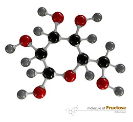 Illustration of Fructose Molecule isolated white background