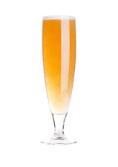 Glass of beer cider elegant with foam isolated