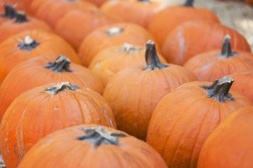 Pumpkins