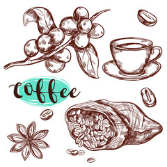 Coffee Branch Icon Set