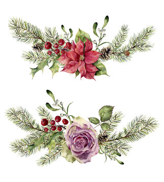 Watercolor winter floral elements isolated on white background. Vintage style set with christmas tree branches, rose, holly, mistletoe, poinsettia flower, leaves. Flower hand painted design