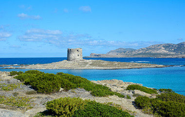 Fototapeta na wymiar Sardegna