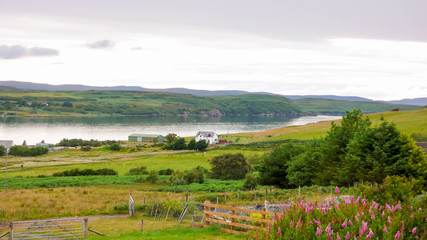 Obraz premium lake with a solitary house and trees in the foreground in the Scottish highlands