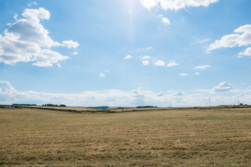 grass field with blue sky. rural landscape