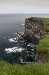 The Icelandic cliffs