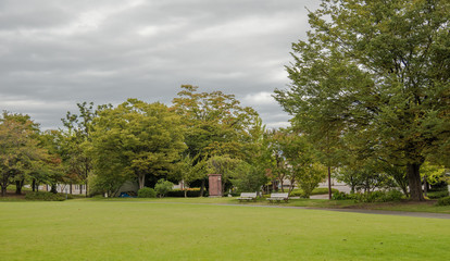 Cloudy day in the park