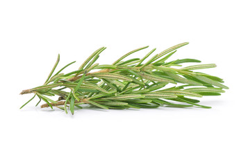 Fototapeta premium rozmaryn na białym tle