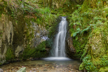 Edelfrauengrab-Wasserfälle; Schwarzwald, Sommer