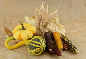 Autumn harvest decoration of gourds and Indian corn