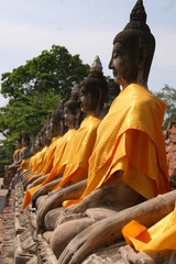 Tranquil Buddhas