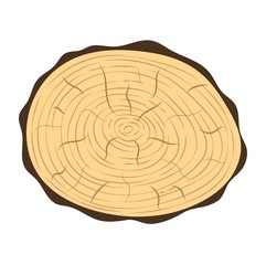 Tree slice vector isolated