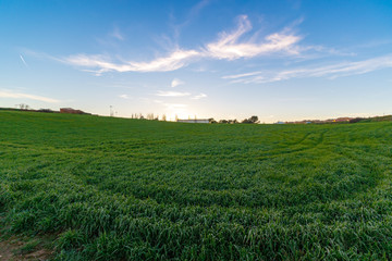 Campo al atardecer