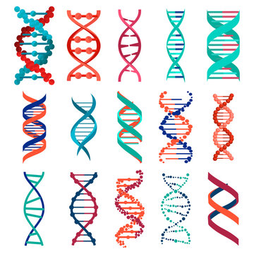 DNA molecule sign set, genetic elements and icons collection strand. Vector 