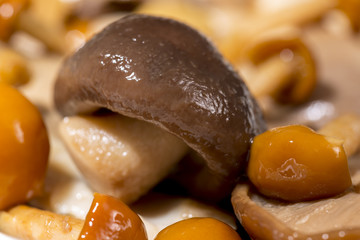 Champignon between other types of boiled mushrooms. Gourmet food