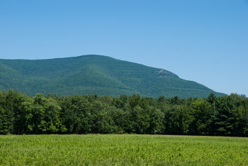 Obraz premium Overlook Mountain from Zena Cornfield
