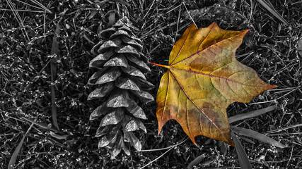 hint of fall