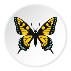 Blue and yellow butterfly icon. Flat illustration of butterfly vector icon for web design