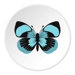 Blue striped butterfly icon. Flat illustration of butterfly vector icon for web design