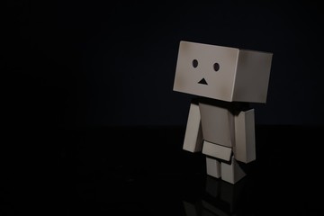 Toy danbo of the shadow 
