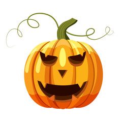 Halloween pumpkin icon. Cartoon illustration of halloween pumpkin vector icon for web