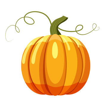 Pumpkin icon. Cartoon illustration of pumpkin vector icon for web