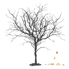 Autumn tree. Fall. Season concept illustration