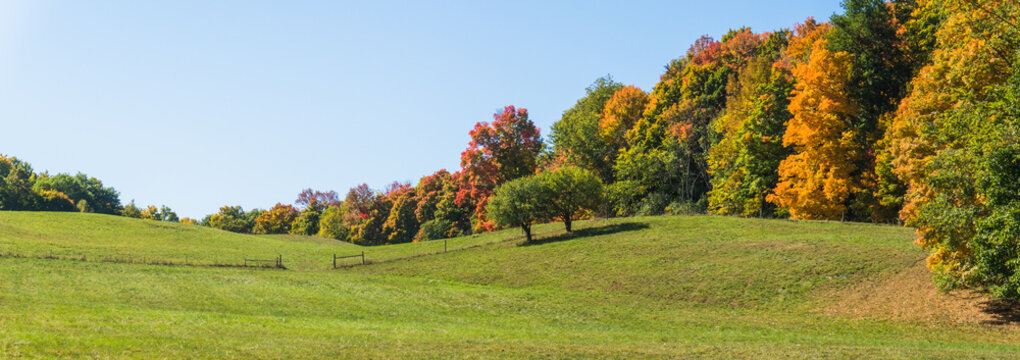 rolling hills on a farm meadow  in fall with trees showing autumn foliage colors 
