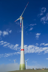 Windr&auml;der in einem Windpark